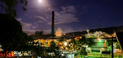 Apesar da seca e pandemia, Coaf aposta na produção de açúcar e salva safra