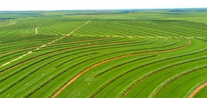 Show de Meiosi com MPB na usina Atena