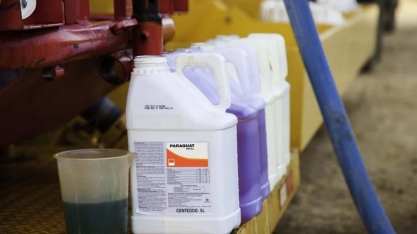 Proibição do paraquat eleva preços e diminui oferta de dissecantes