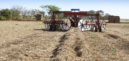 Diferentes quantidades de palha de cana mantidas sobre o solo tem efeito sobre indicadores microbiológicos e enzimáticos