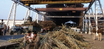 Açúcar/Índia: Isma reduz em 2,6% estimativa de produção em 2020/21, para 30,2 milhões de t