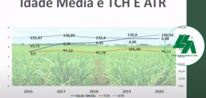 Os segredos da Usina Santo Ângelo para ser bicampeã em produtividade