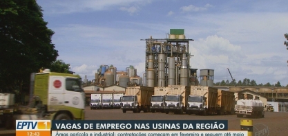 Usinas aquecem mercado de trabalho entre fevereiro e maio