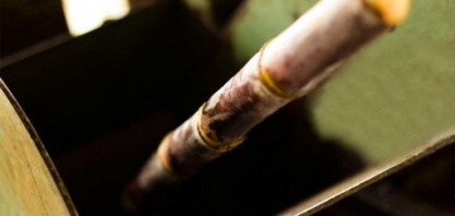 Safra de cana 20/21 será menor que o esperado em Alagoas