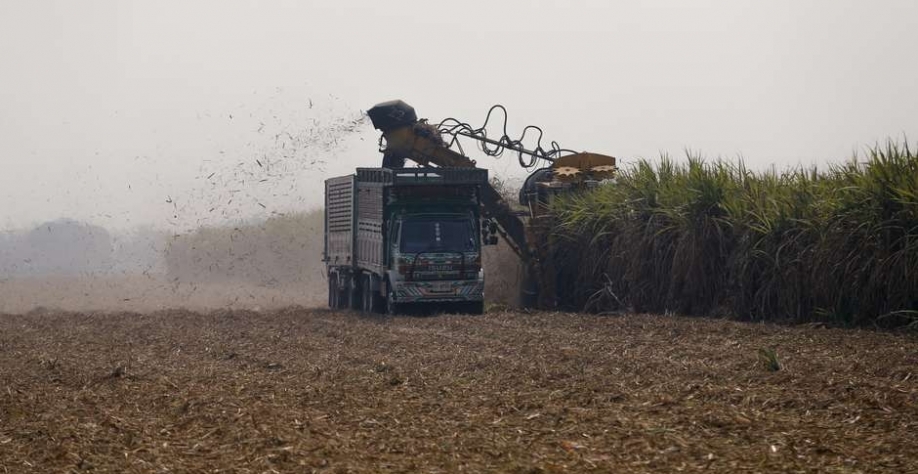 Colheita de cana-de-açúcar na província de Ratchaburi, Tailândia 22/03/2016 REUTERS/Jorge Silva Foto: Reuters
