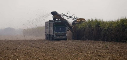 Safra de cana da Tailândia deve se recuperar em 2021/22, diz Czarnikow