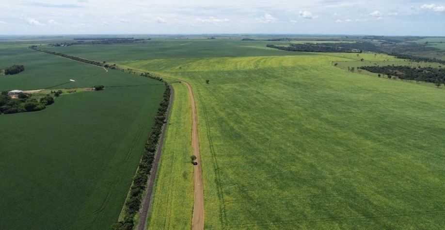 Lavoura de soja — Foto: Prefeitura de Uberaba/Divulgação