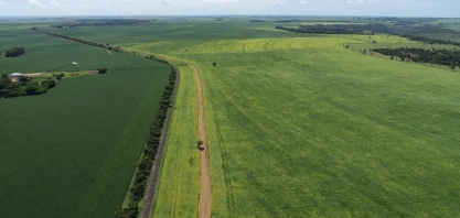 Técnicos agrícolas estimam aumento de área plantada em Uberaba na safra 2020/2021