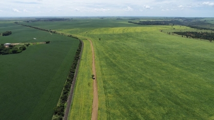 Técnicos agrícolas estimam aumento de área plantada em Uberaba na safra 2020/2021