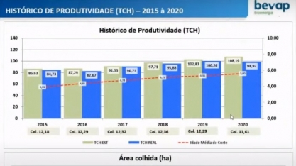Mesmo com alta idade média dos canaviais, Bevap registra tch de 98,9 ton/ha
