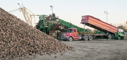 Produtores de açúcar da UE resistem em dar mais espaço ao Brasil