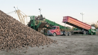 Produtores de açúcar da UE resistem em dar mais espaço ao Brasil