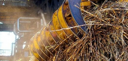 Safra da cana será recompensada por bons preços e exportação