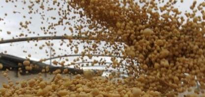 BBF anuncia instalação de usina extrusora de soja no PA e investimentos em palma