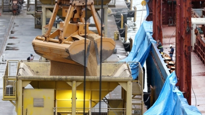 Ano de 2021 deve ter safra recorde de grãos: 262,2 milhões de tonelada