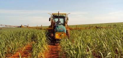 A escolha do herbicida ideal para o controle de plantas daninhas nos canaviais