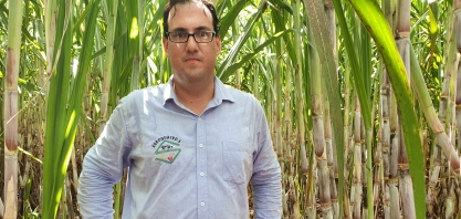 Acessórios de plantadora aumentam quantidade de raízes e de cana