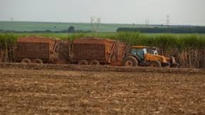 Mecanização na colheita da cana-de-açúcar é a principal responsável pela queda nas emissões de GEE por queima de resíduos agrícolas