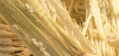 Bagaço de cana-de-açúcar nanomodificado é capaz de ‘limpar’ água contaminada com cobre ou crômio