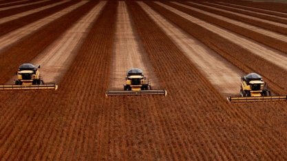 Forte demanda por máquina atrai Magazine Luiza ao agro