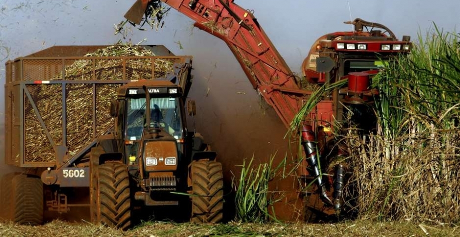 Colheita de cana-de-açúcar em Sertãozinho (SP) 21/04/2007. REUTERS/Paulo Whitaker Foto: Reuters