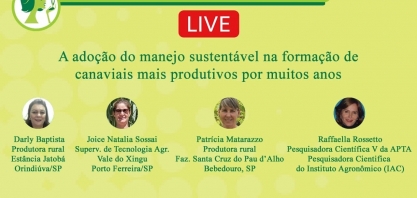 A adoção do manejo sustentável na formação de canaviais mais produtivos por muitos anos