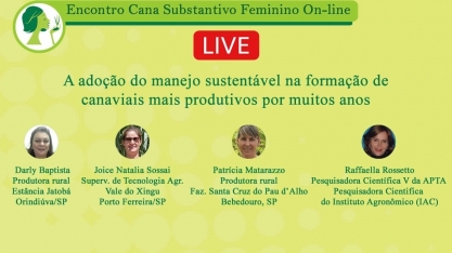 A adoção do manejo sustentável na formação de canaviais mais produtivos por muitos anos