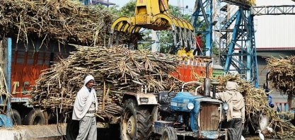 Usinas de açúcar indianas correm para assinar contratos de exportação