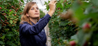 Koppert patrocina evento Cana Substantivo Feminino