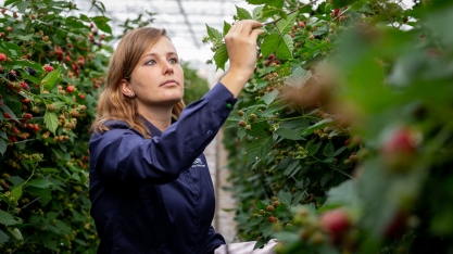 Koppert patrocina evento Cana Substantivo Feminino