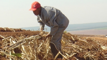 Governo descarta redução de juros no próximo Plano Safra
