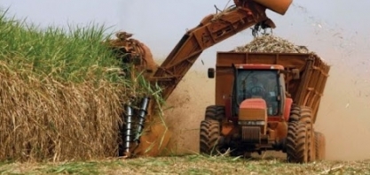 Faturamento agropecuário está previsto em R$ 1 trilhão neste ano, segundo Ministério da Agricultura