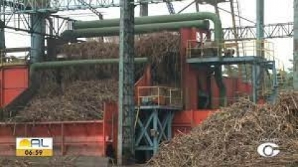 Processo de plantio e colheita da cana-de-açúcar tem passado por mudanças