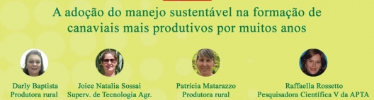 A adoção do manejo sustentável na formação de canaviais mais produtivos por muitos anos