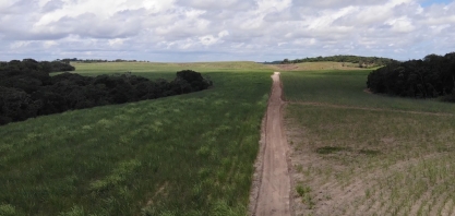 Sindaçúcar-AL: índices pluviométricos cresceram 7,6% em 2020