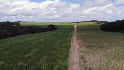 Sindaçúcar-AL: índices pluviométricos cresceram 7,6% em 2020