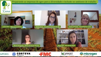 Diversidade melhora o caixa das empresas?