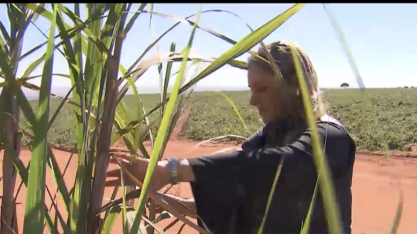 Danielle Baratela, produtora rural, será debatedora no Cana Substantivo Feminino On-line