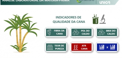 Observatório da Cana publica painel sobre qualidade de cana