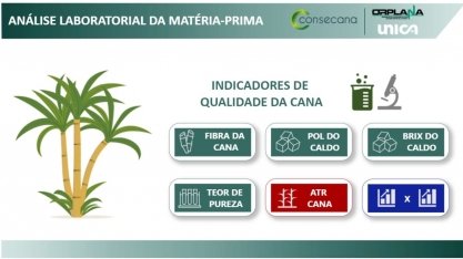 Observatório da Cana publica painel sobre qualidade de cana