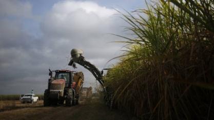 Etanol: independente de safra nova ou velha, oferta aumentou e pressiona os preços