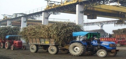 Açúcar/Índia/ISMA: produção cresce 19,7% e atinge 25,87 milhões de toneladas até 15 de março