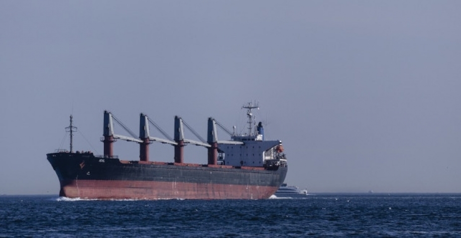 Cada um dos navios tem capacidade ao redor de 30 mil toneladas, ou cerca de 240 mil barris de etanol, disseram as fontes (Imagem: Pixabay)