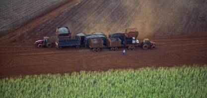 Moagem de cana na safra chega aos 600 milhões de toneladas