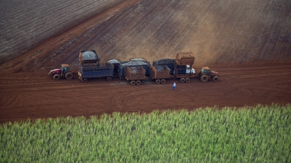 Moagem de cana na safra chega aos 600 milhões de toneladas