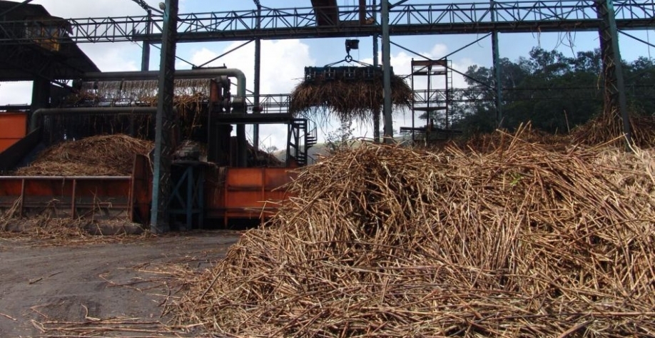 Apenas 4 usinas de AL ainda estão operando no ciclo 20/21