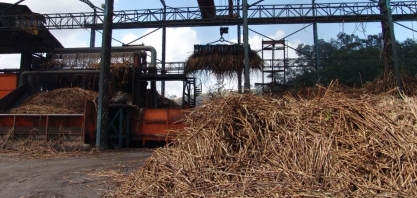 Sindaçúcar-AL: produção de açúcar ultrapassa 1,3 milhão de toneladas