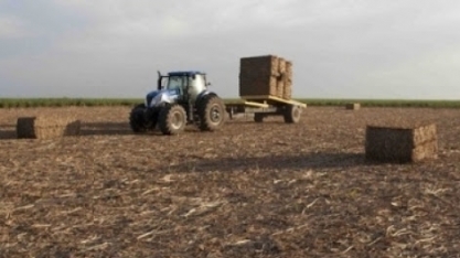 Biocombustíveis ‘high tech’ em alta