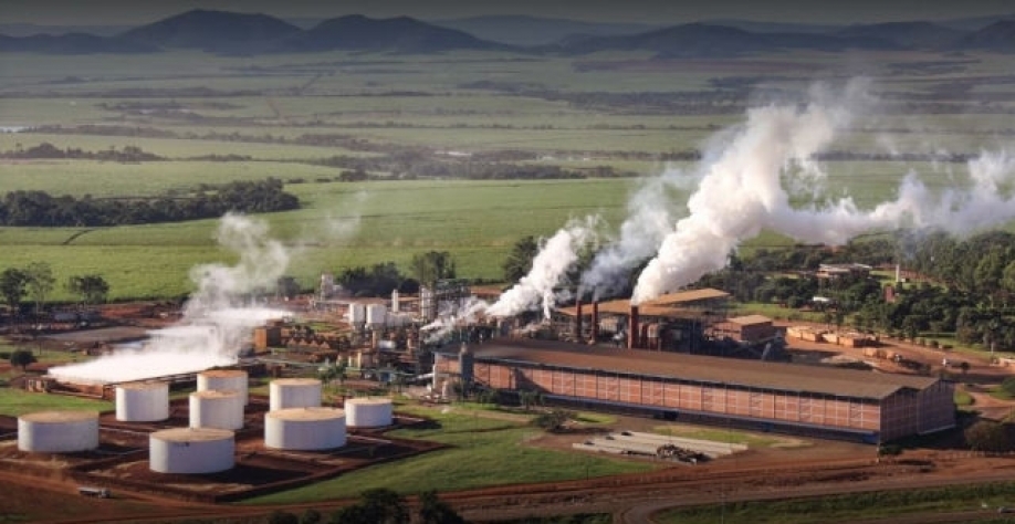 XP vê potencial de valorização superior a 80% diante do desconto da Jalles ante pares no agronegócio (Imagem: Reprodução/Jalles Machado)