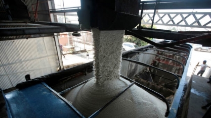 USDA reduz previsões de importação e consumo de açúcar nos EUA em 2020/21